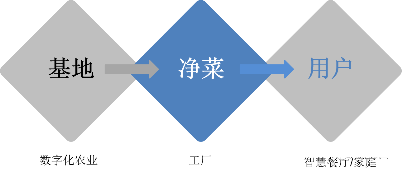 想了解数字化净菜工厂吗？